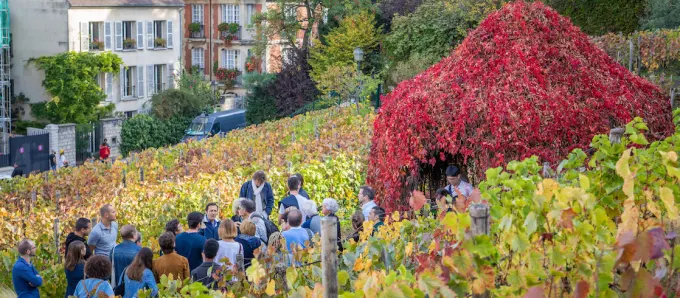 Cada comienzo del otoño desde 1934, la fiesta de las vendimias de Montmartre es la oportunidad de celebrar las viñas de París y la llegada del otoño.