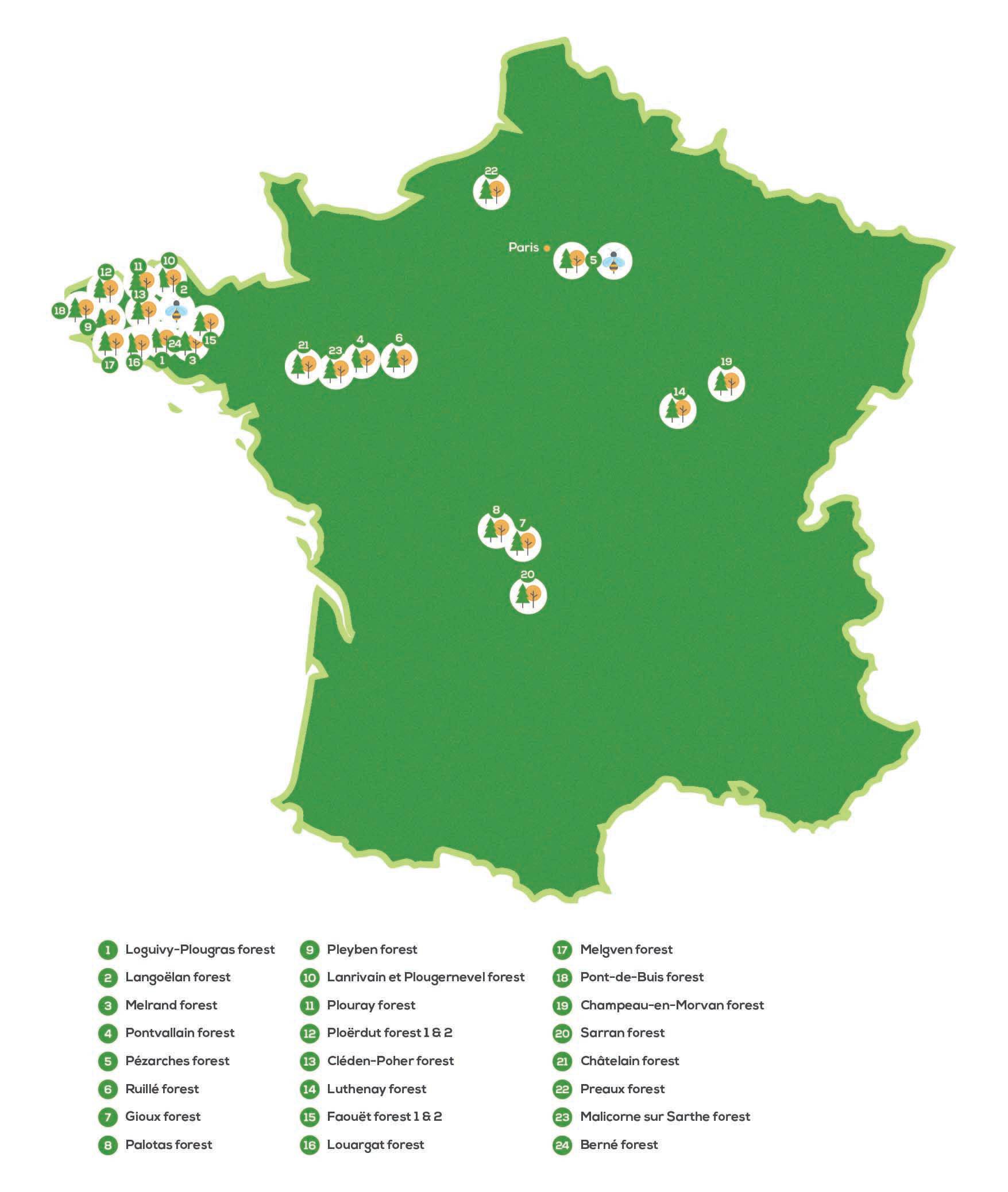 EcoTree har i dag 25 skogar som du kan besöka i Frankrike.