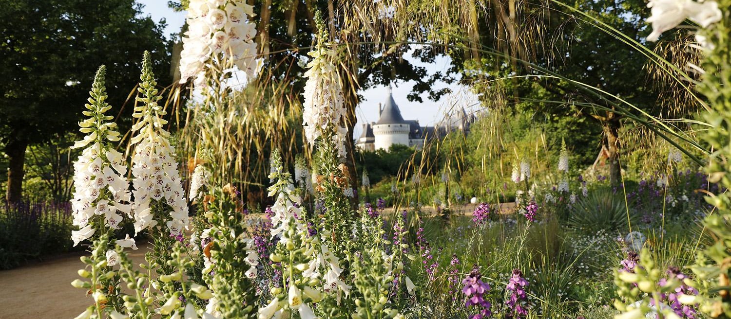 A Chaumont-sur-Loire, jardins de rêves et de collection - Galerie