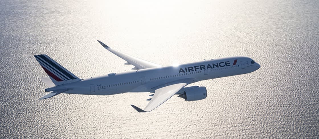 Air France : ses solutions pour un tourisme durable