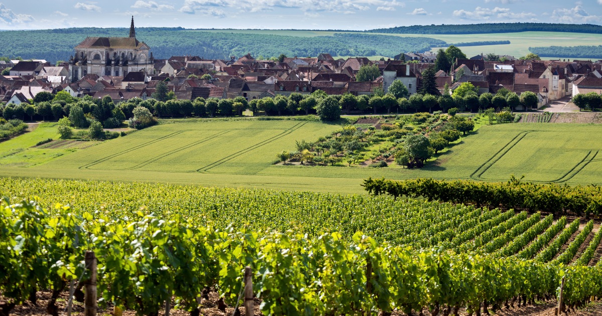 Wineries & Vineyards in Auxerre