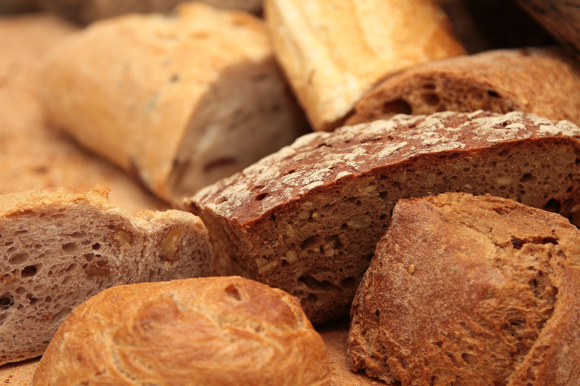 les boîtes à pain avec fermeture par enroulement les petits pains et les gâteaux les boîtes à pain Duston Boîte à pain parfaite pour le pain les boîtes à pain