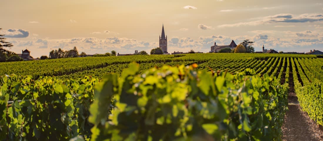 Bezoek het wereldberoemde wijngebied Bordeaux