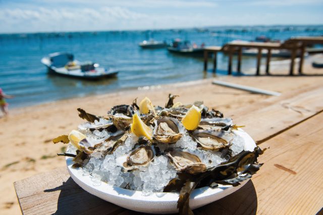 Oysters in Arcachon © Vincent Bengold