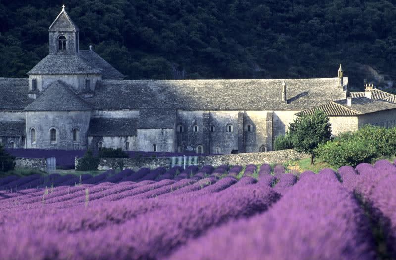Forpustet får falsk The Stunning Natural Landscapes of Provence