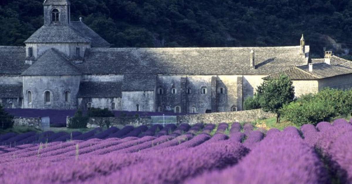 generøsitet stamtavle Mængde penge The Stunning Natural Landscapes of Provence
