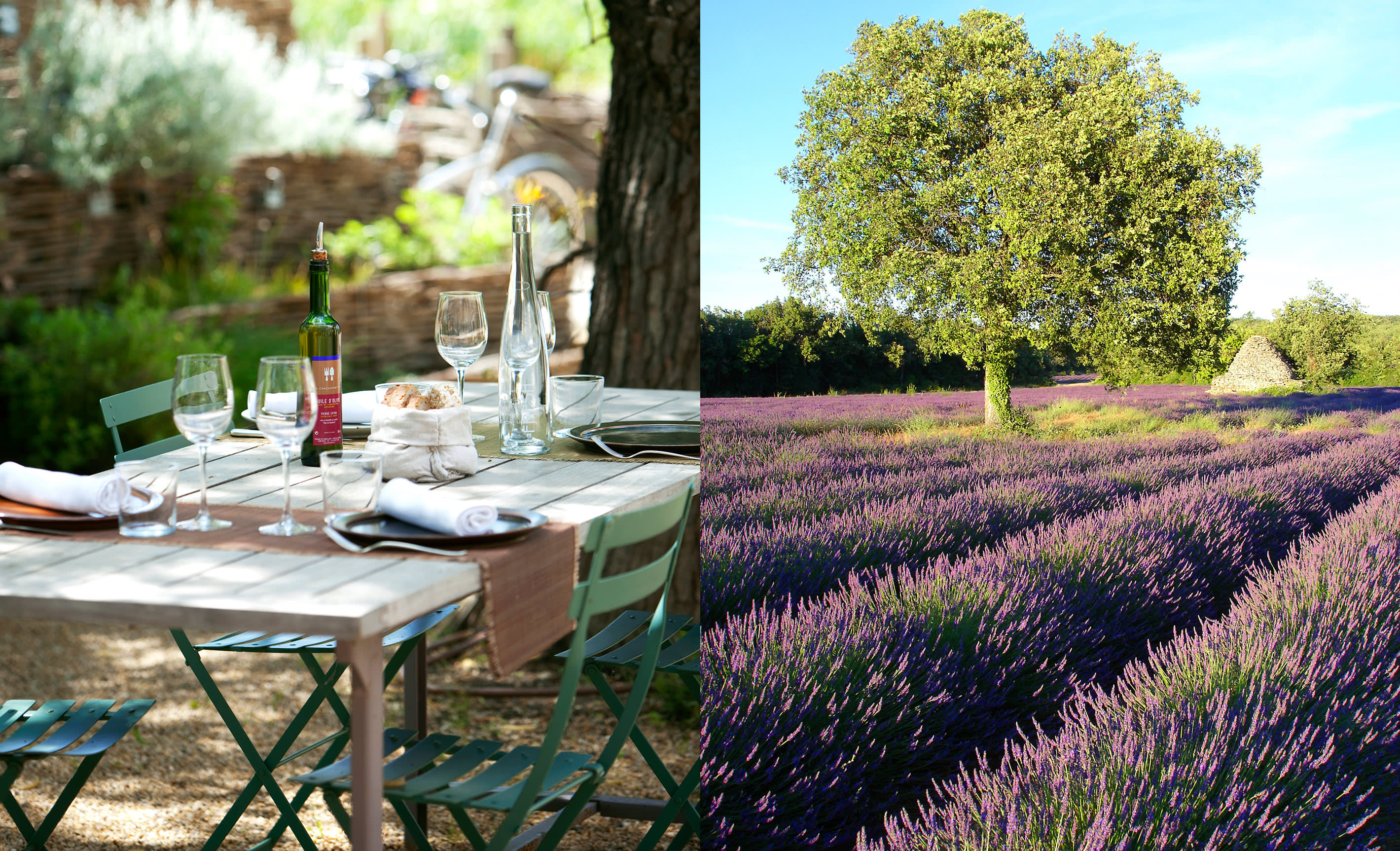 Provence Vin et Lanvandes