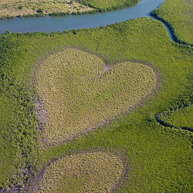 El corazón de Voh no es más que un claro de 4 hectáreas formado por el manglar. 