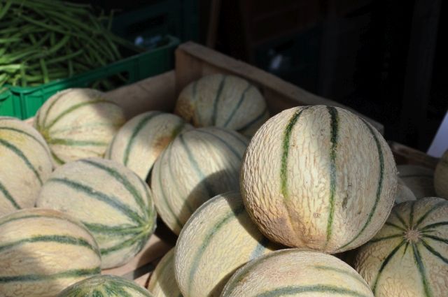 Charente melon © Mon Nuage-CRTNA