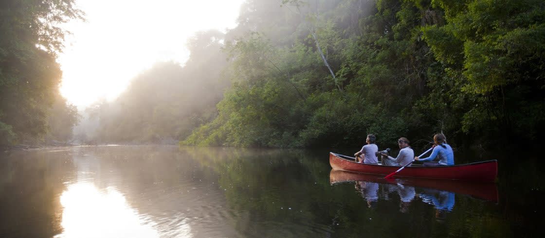 Paraíso del ecoturismo, Guayana Francesa es el terreno de juego ideal para los amantes de la fauna y la flora.
