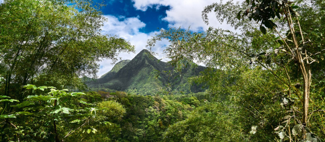 Martinique Montagne Pelée © CMT