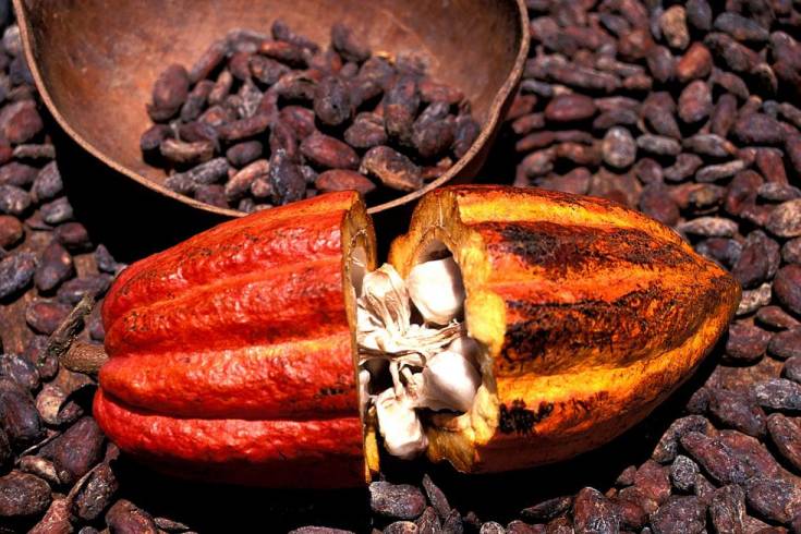 Laissez-vous tenter par un chocolat maison fait à partir de fèves de cacao