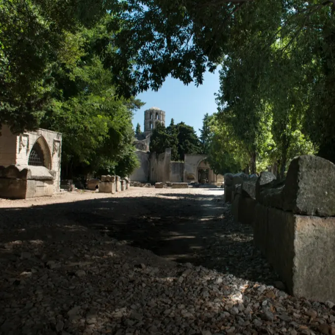Die Nekropole Alyscamps, in der Nähe vom Luma Arles.