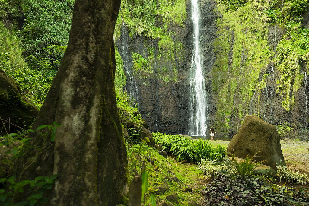 TAHITI waterfalls -© Grégoire Le Bacon LR