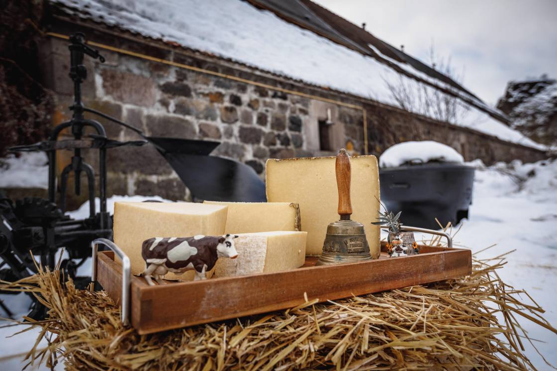 Cheeses and Montbéliardes in the spotlight