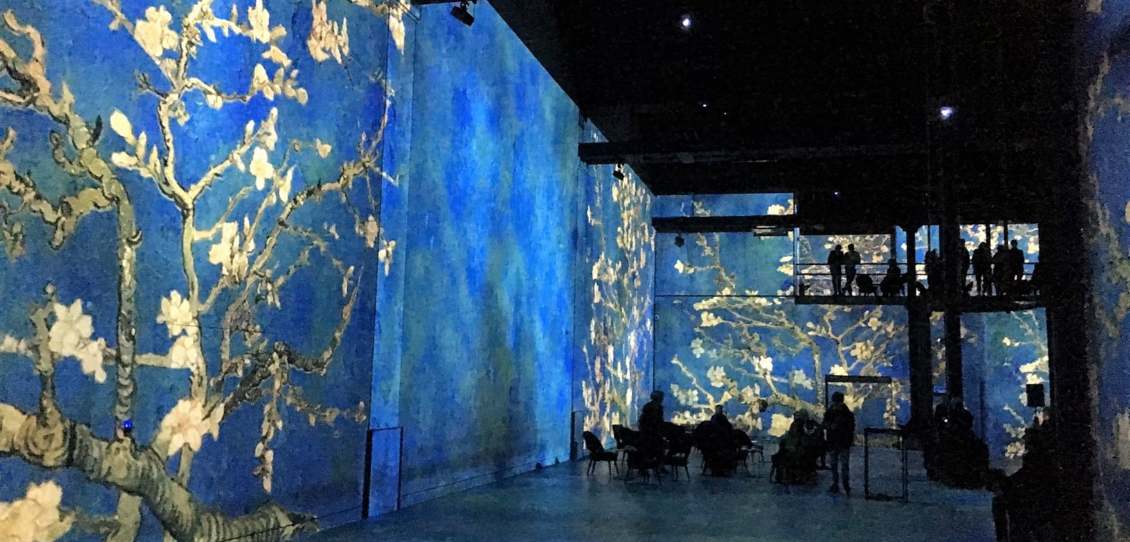 Van Gogh, una mostra immersiva nella “Notte Stellata” (22 Febbraio