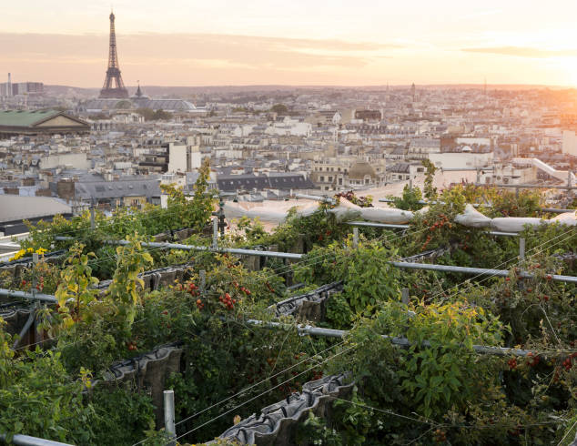 Secret Garden Over Paris