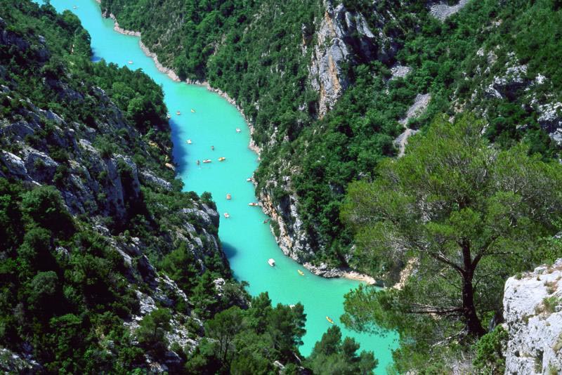 Vanessa  Atlas Biodiv'PACA - LPO Provence-Alpes-Côte d'Azur