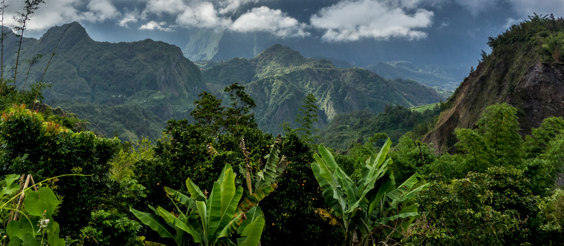 Carnet de voyage : l'île de La Réunion
