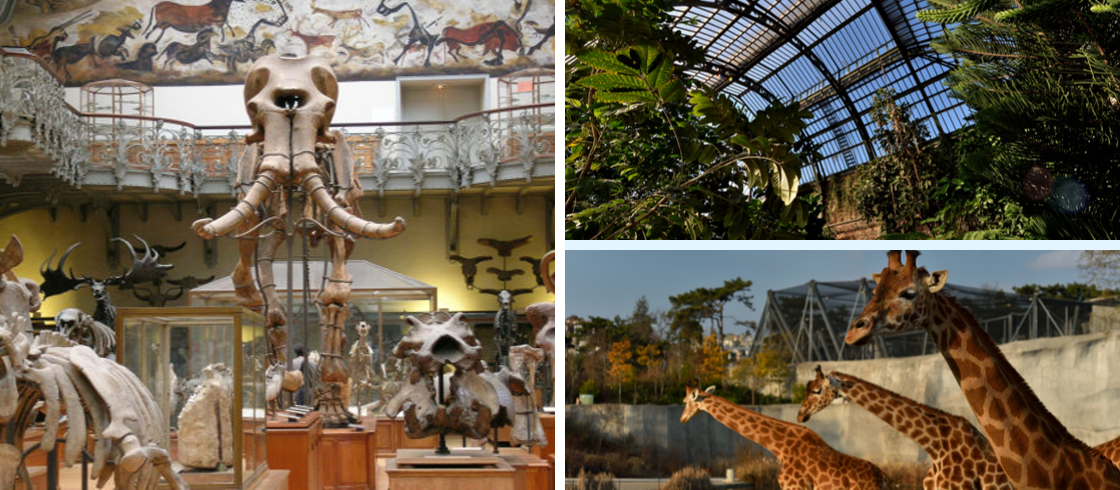 Le Parc zoologique de Paris, un monde à explorer pour petits et grands
